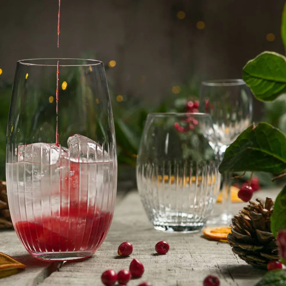 ALBA Fine Line longdrinkglass 45 cl