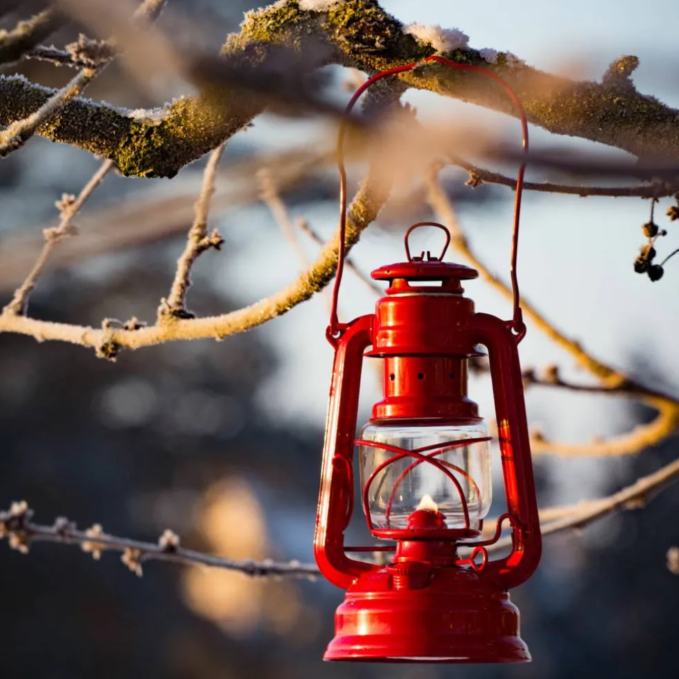 Baby Special 276 parafinlampe, olive