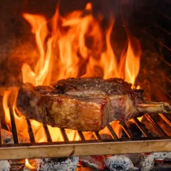 Bertha Original Table Top trekullovn, blå