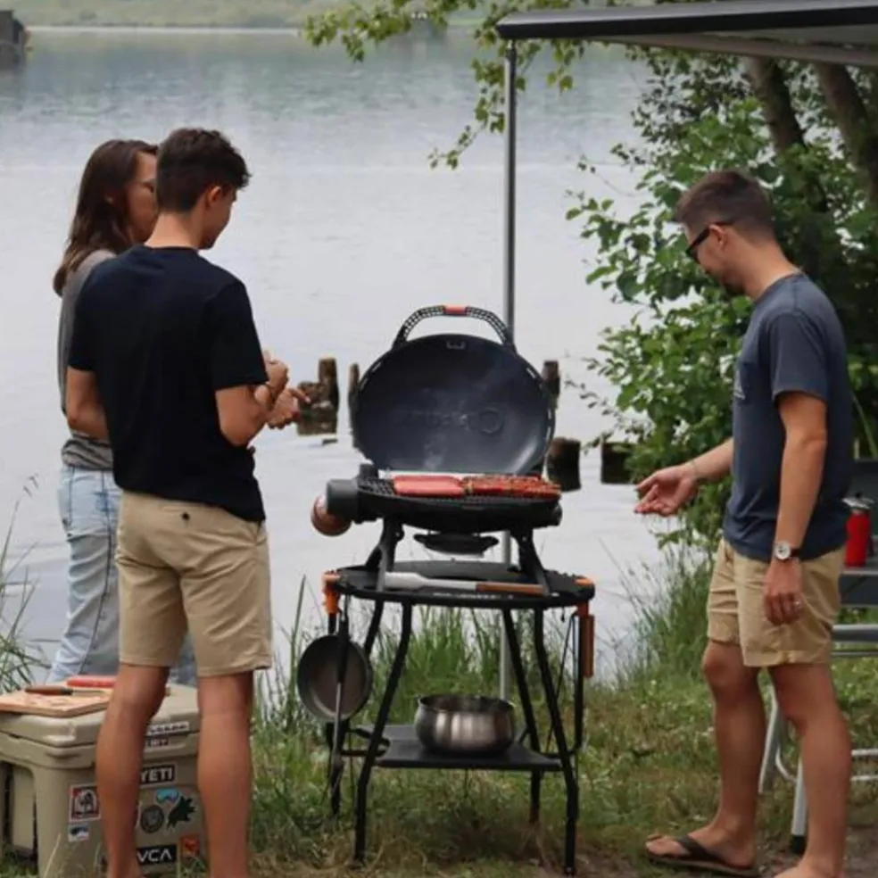 Bærbar gassgrill 500, svart