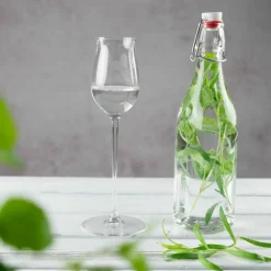 Brennevinsglass 17 cl, 2-pakning