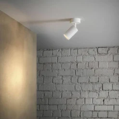 Canspot 55 Single spotlight, hvit