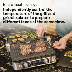 CG9167 multigrill