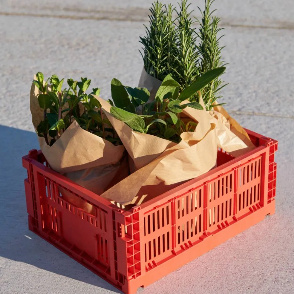Color Crate oppbevaringsboks medium, electric blue