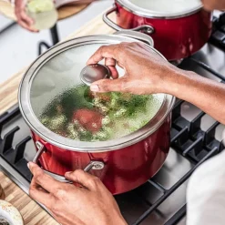 Cookware Collection Gryte med lokk 20 cm, rød