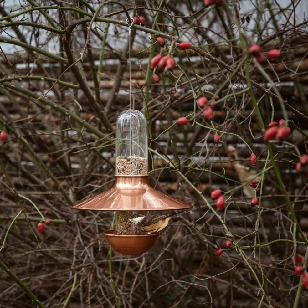 De Luxe fuglemater, kobber