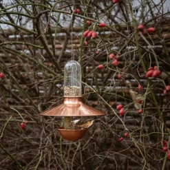 De Luxe fuglemater, svart