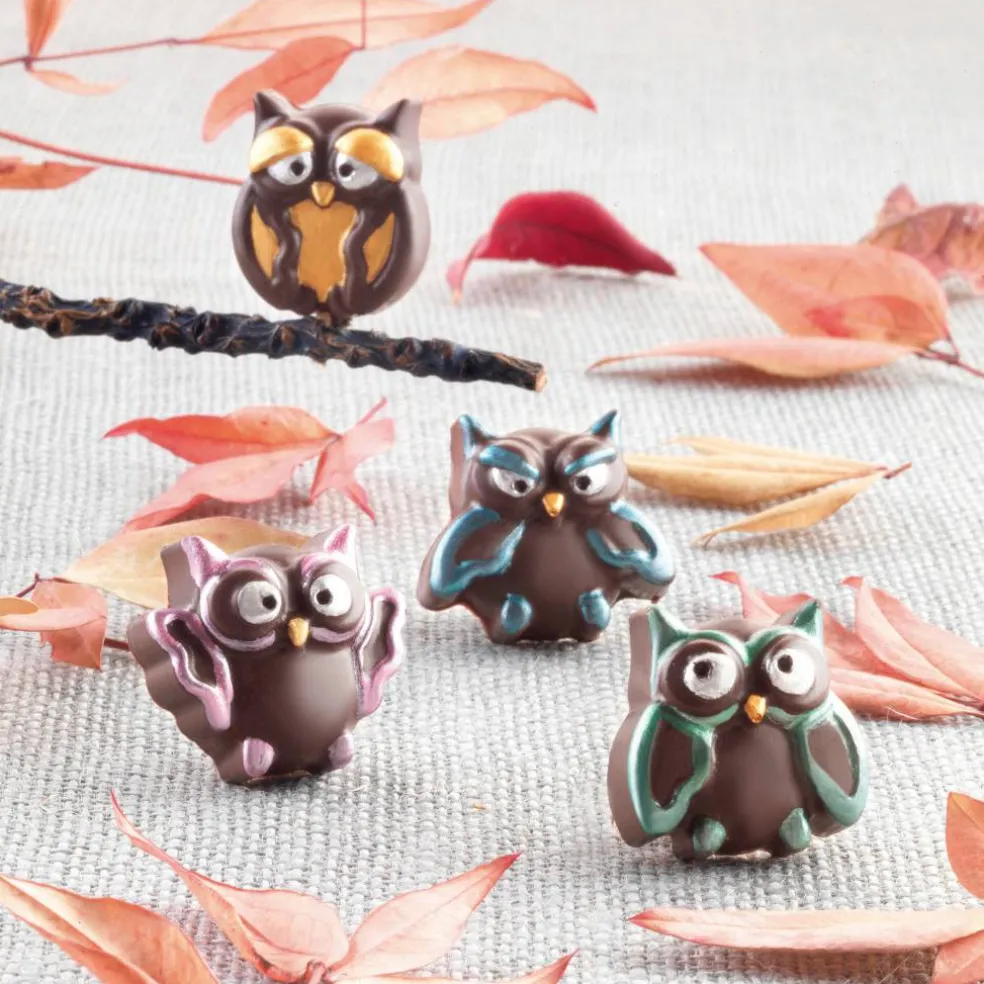 Easy Choc Konfektform Choco Gufi