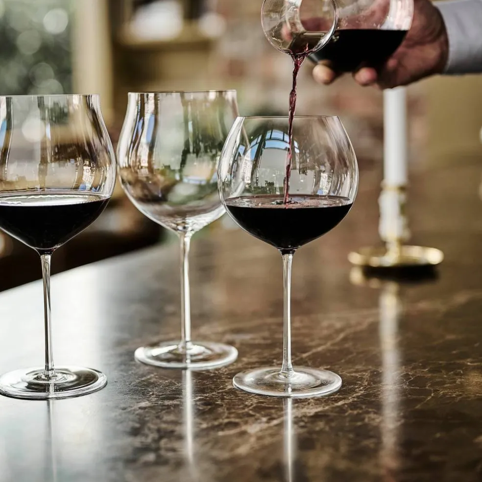 Enoteca Pinot Noir rødvinsglass 96 cl, 2-pakning
