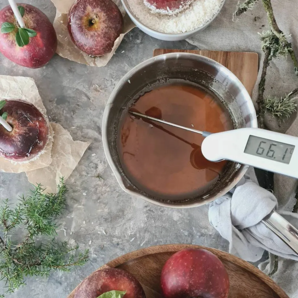 ETI Classic Termometer Grønn