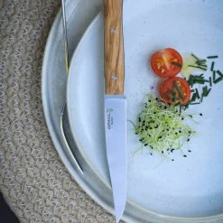 Facette bordkniv 4-pakning, ask