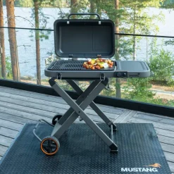 Fold gassgrill
