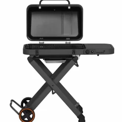 Fold gassgrill