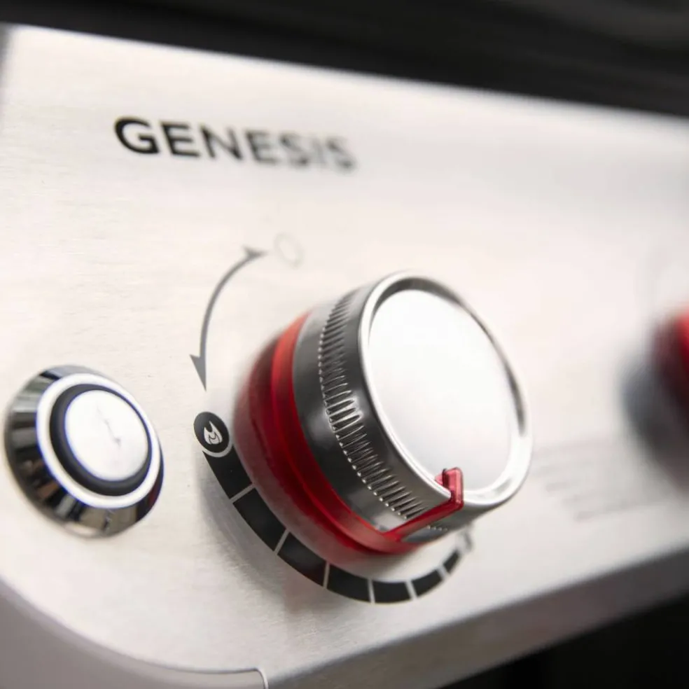 Genesis E-315 gassgrill