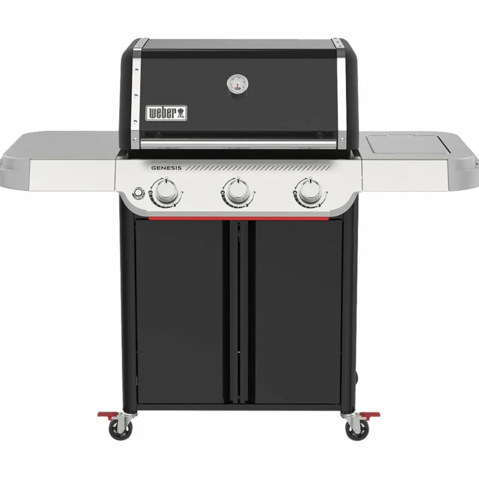 Genesis E-315 Gassgrill 2025