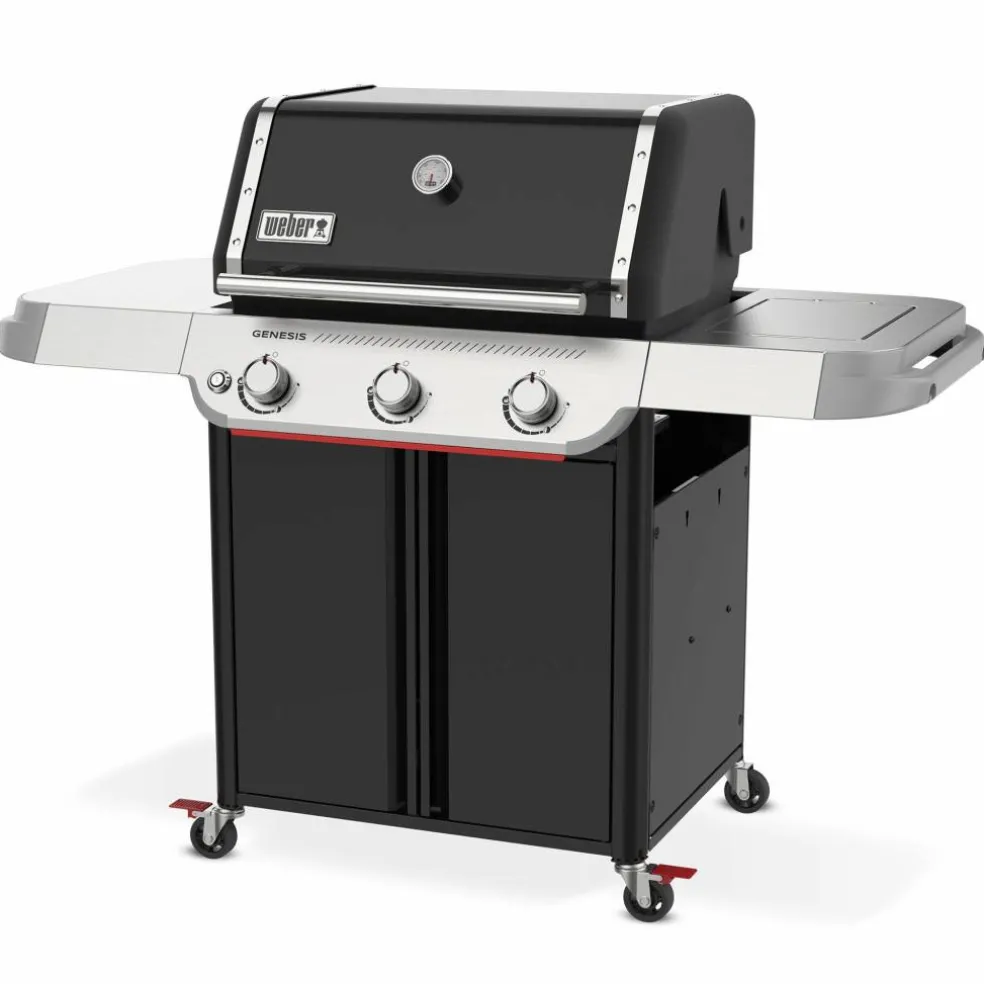Genesis E-315 Gassgrill 2025
