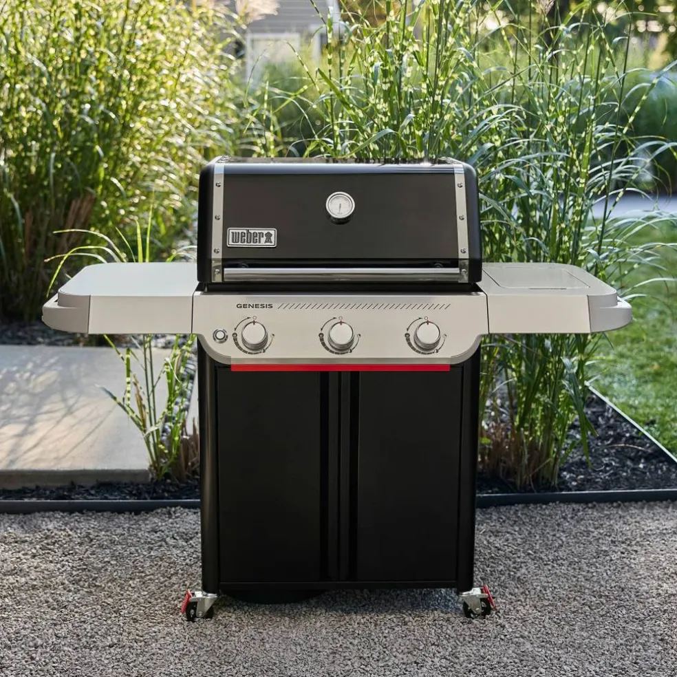 Genesis E-315 Gassgrill 2025