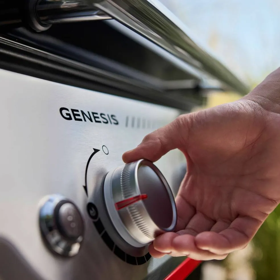 Genesis E-425W Gassgrill