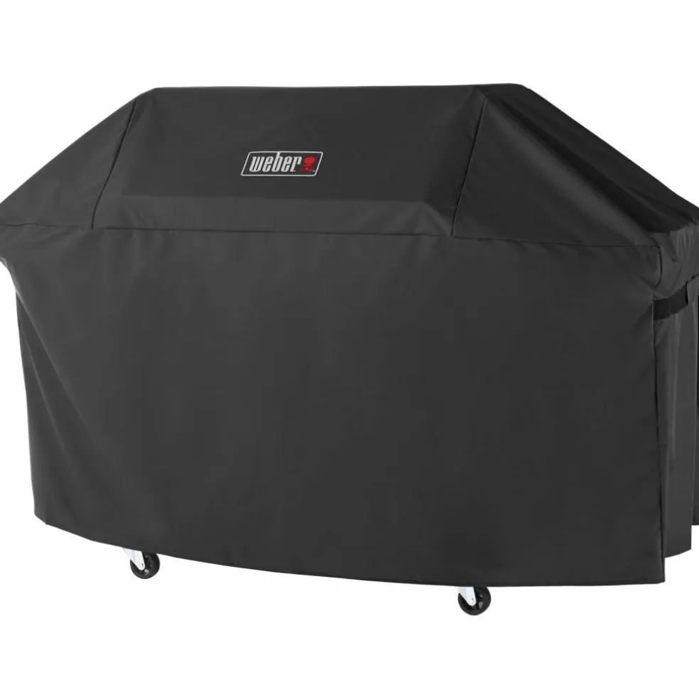 Genesis E-425W Gassgrill