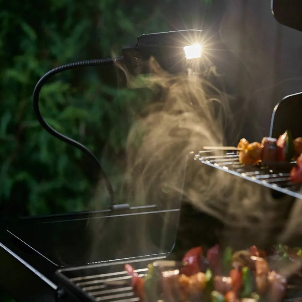 Genesis E-425W Gassgrill