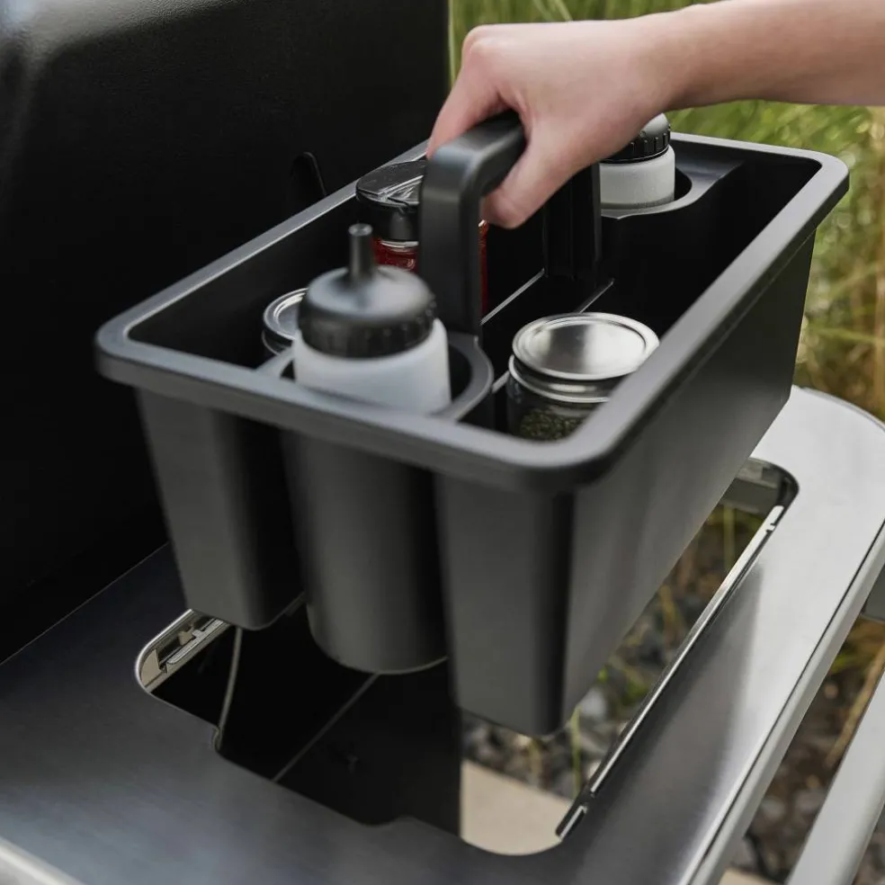 Genesis E-425W Gassgrill