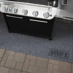 Genesis E-415W Gassgrill