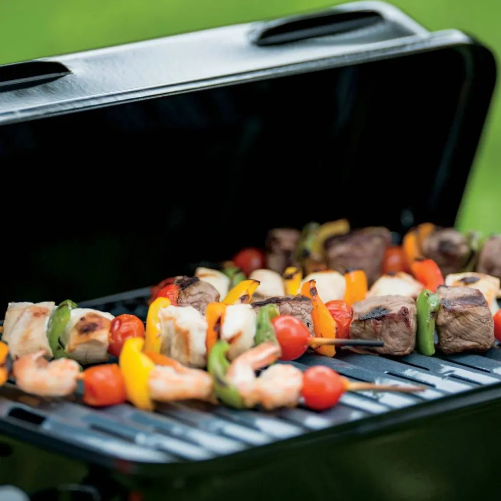 Go-Anywhere bærbar gassgrill