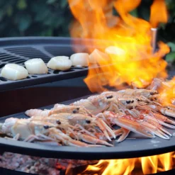 Grill 17 Støpejern