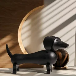 Hund, liten