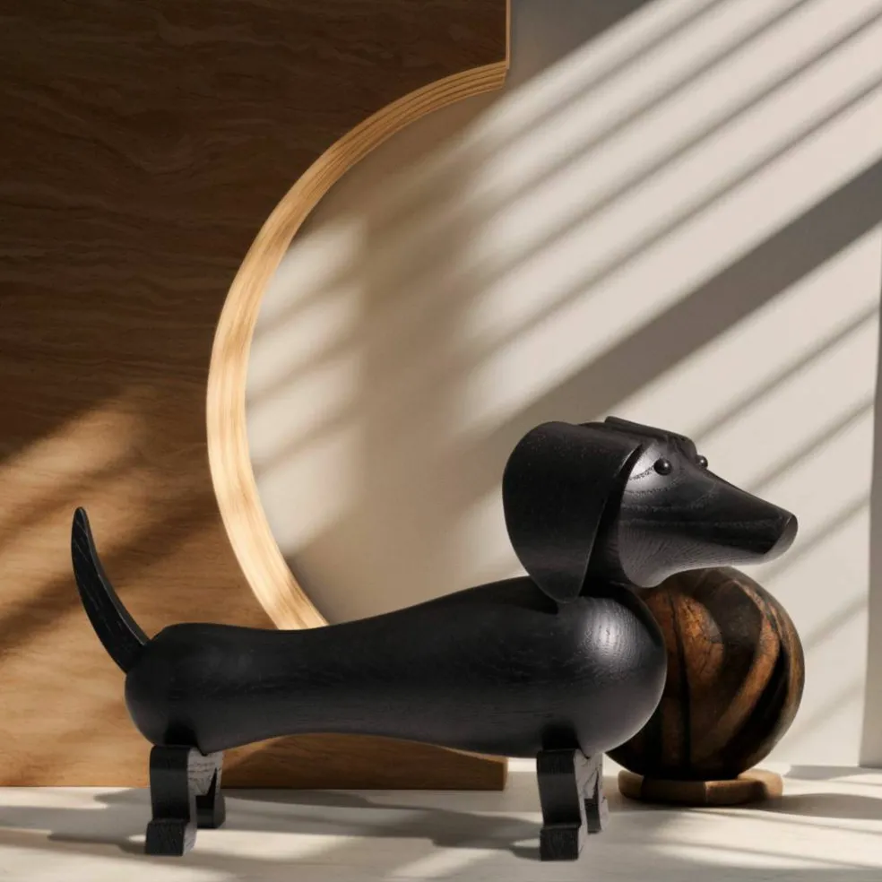 Hund, liten