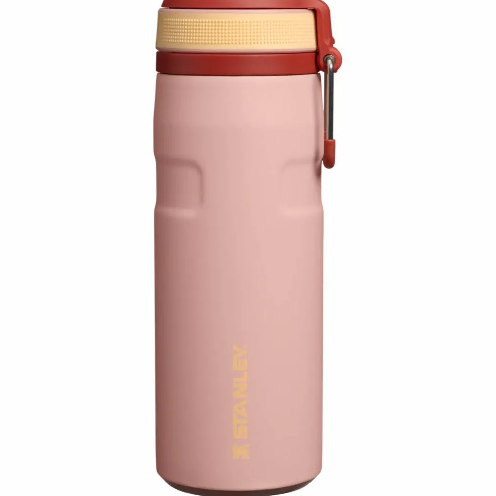 IceFlow Twist Flip flaske 0,47 liter, ash