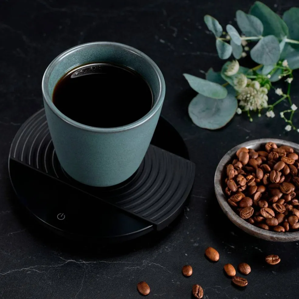 Kaffekvern WSFB-100S med vekt KS1B-T2
