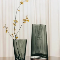 Lituus glassvase mellom