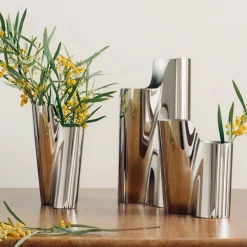 Lituus vase liten