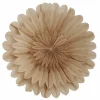 Lotus julestjerne 60 cm, beige
