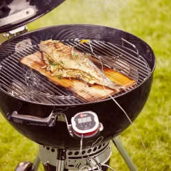 Master-Touch® GBS Premium E-5770 Kullgrill