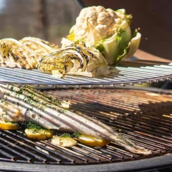 Maxi kullgrill, grønn + grillmesterens rotisserie og pizzaovn