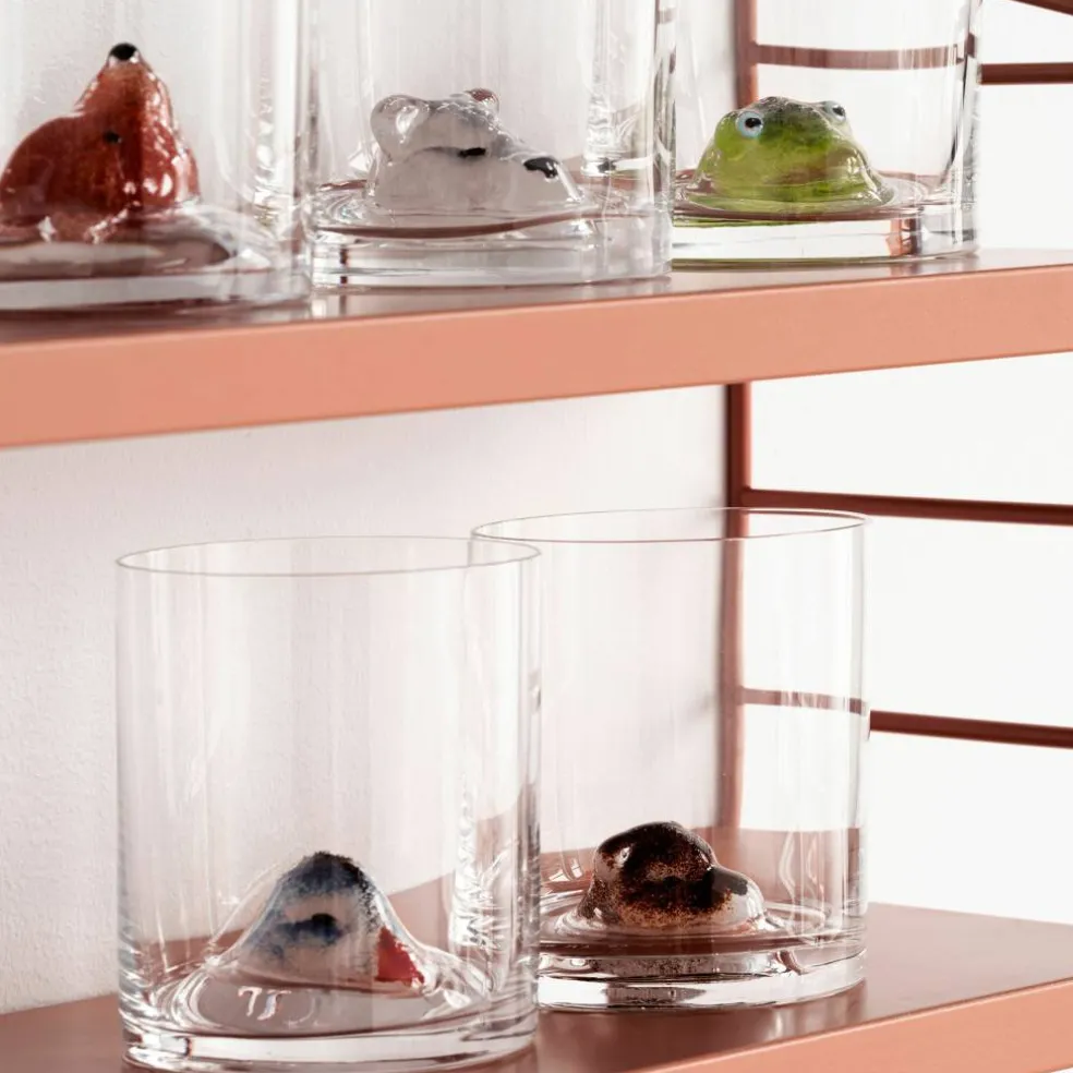 New Friends Glass, Fugl