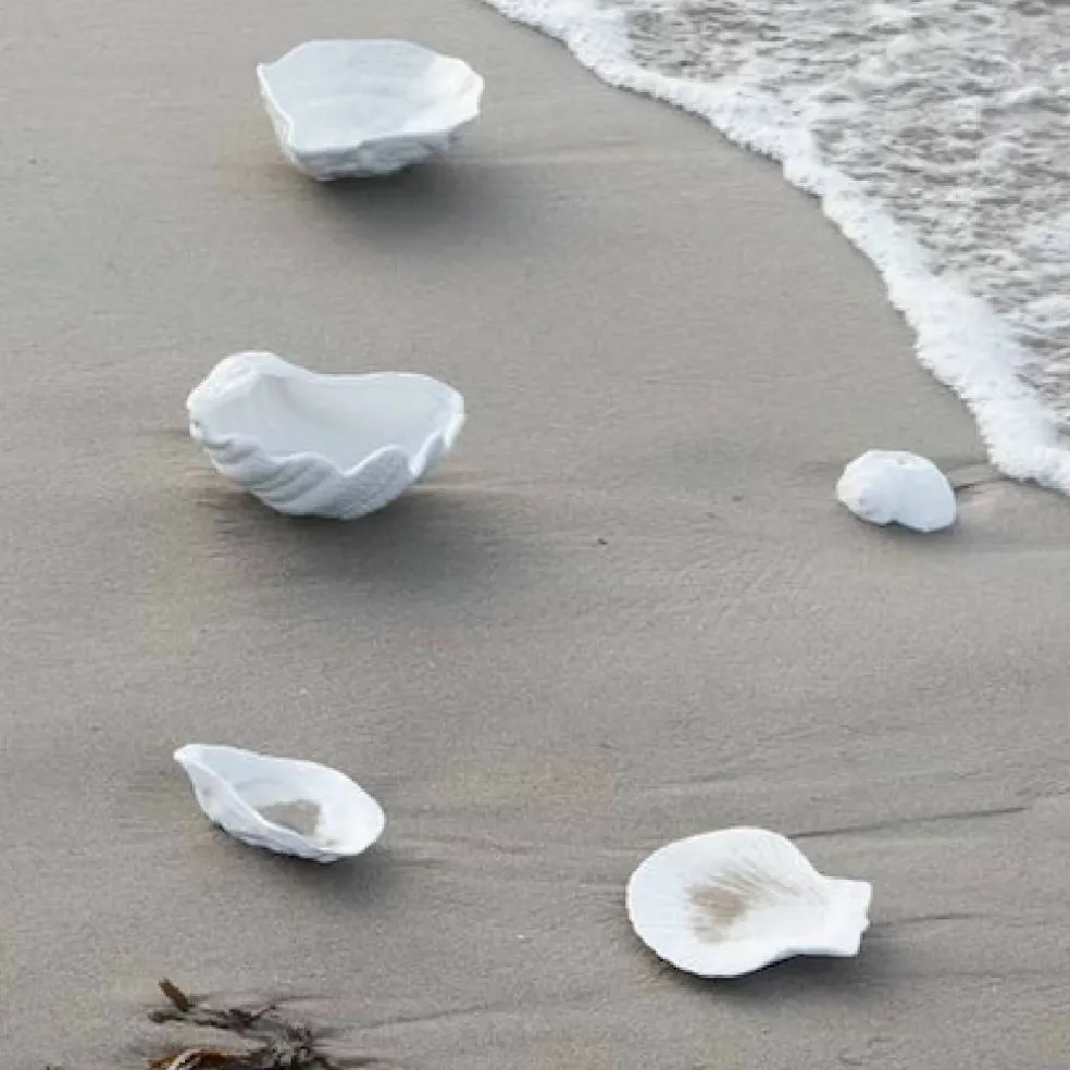 Oyster skål