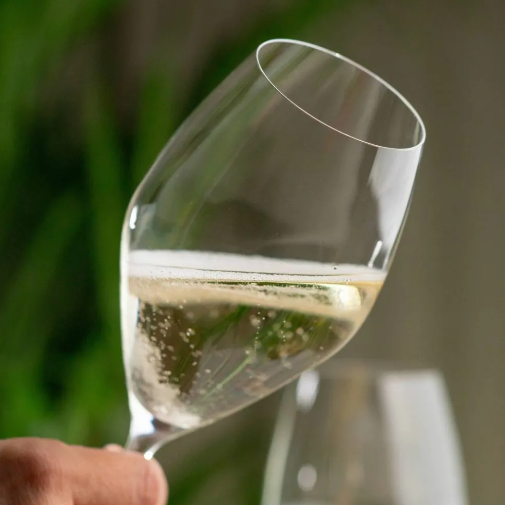 Performance champagneglass 4-pakning