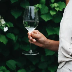 Performance Sauvignon Blanc vinglass 2-pakning