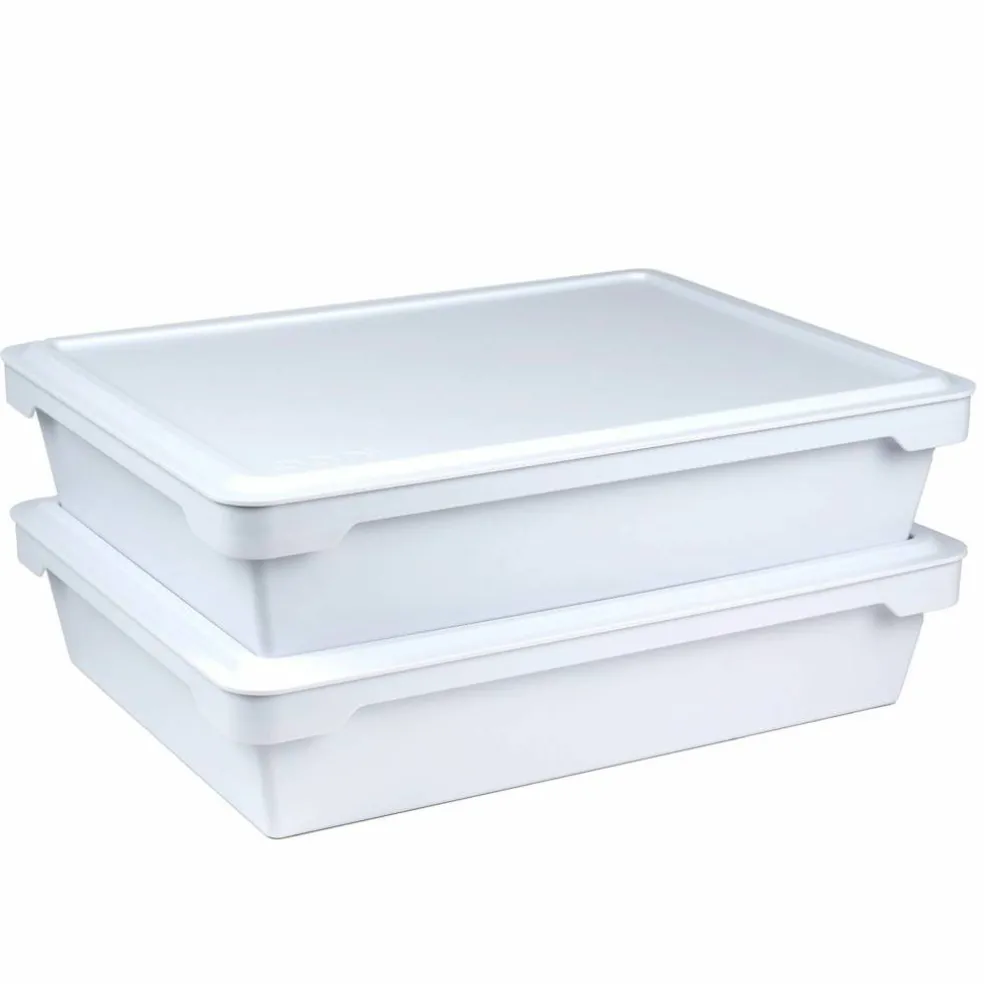 Pizzadeigboks 2-pack