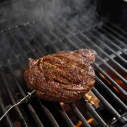 Premium målepinne for grilltemperatur