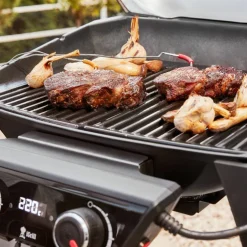 Pulse 2000 elgrill