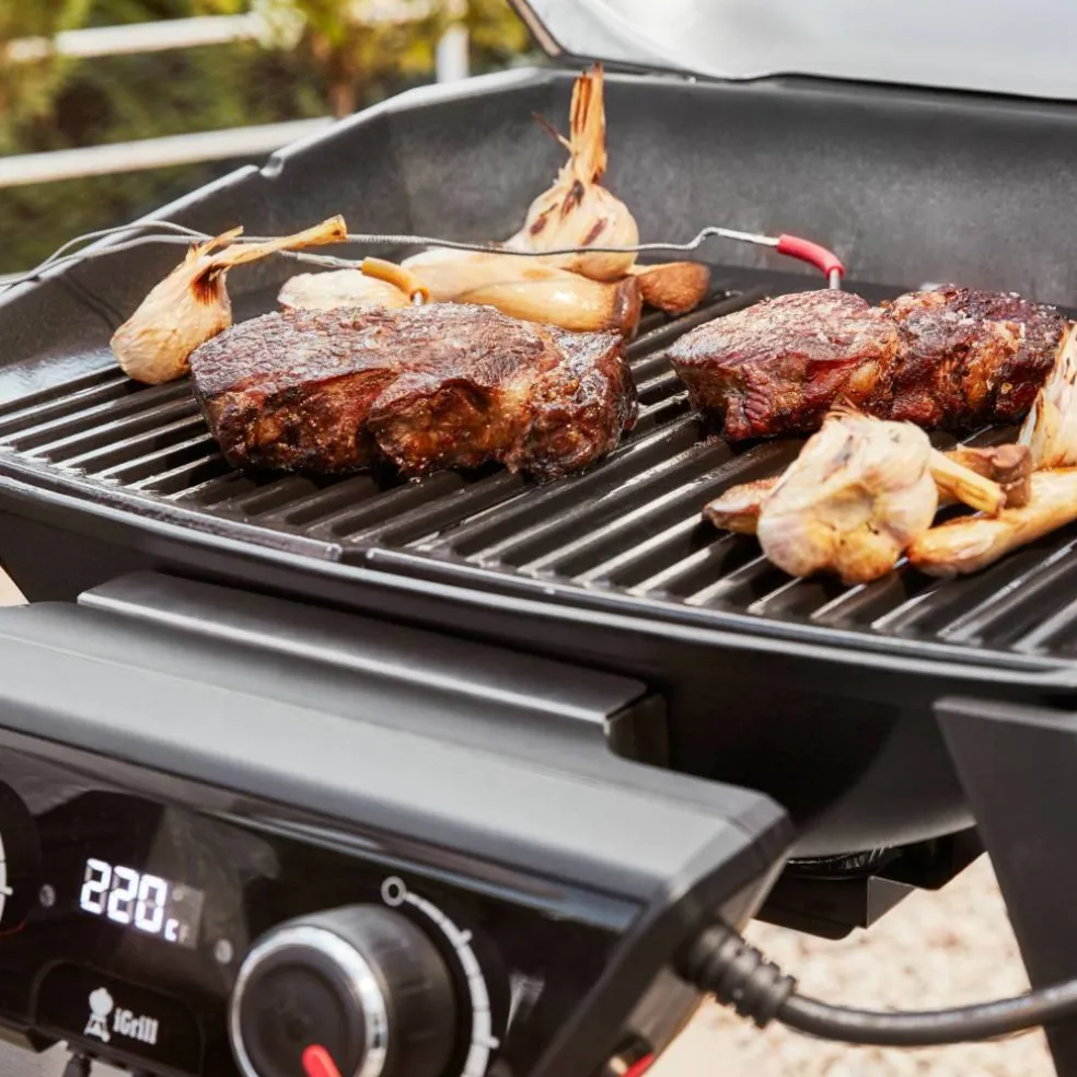 Pulse 2000 elgrill