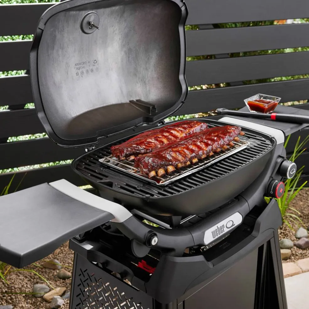 Q2800N+ Gassgrill med vogn