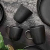 RAW Kaffekopp 20 cl, Titanium Black 6 pk