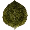 Riviera Hydrangea Leaf serveringsfat 22 cm