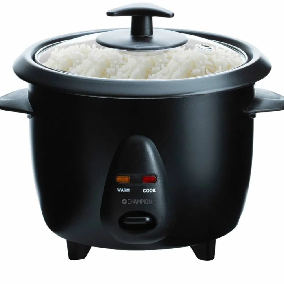 RK400 Mini riskoker 0,6 liter