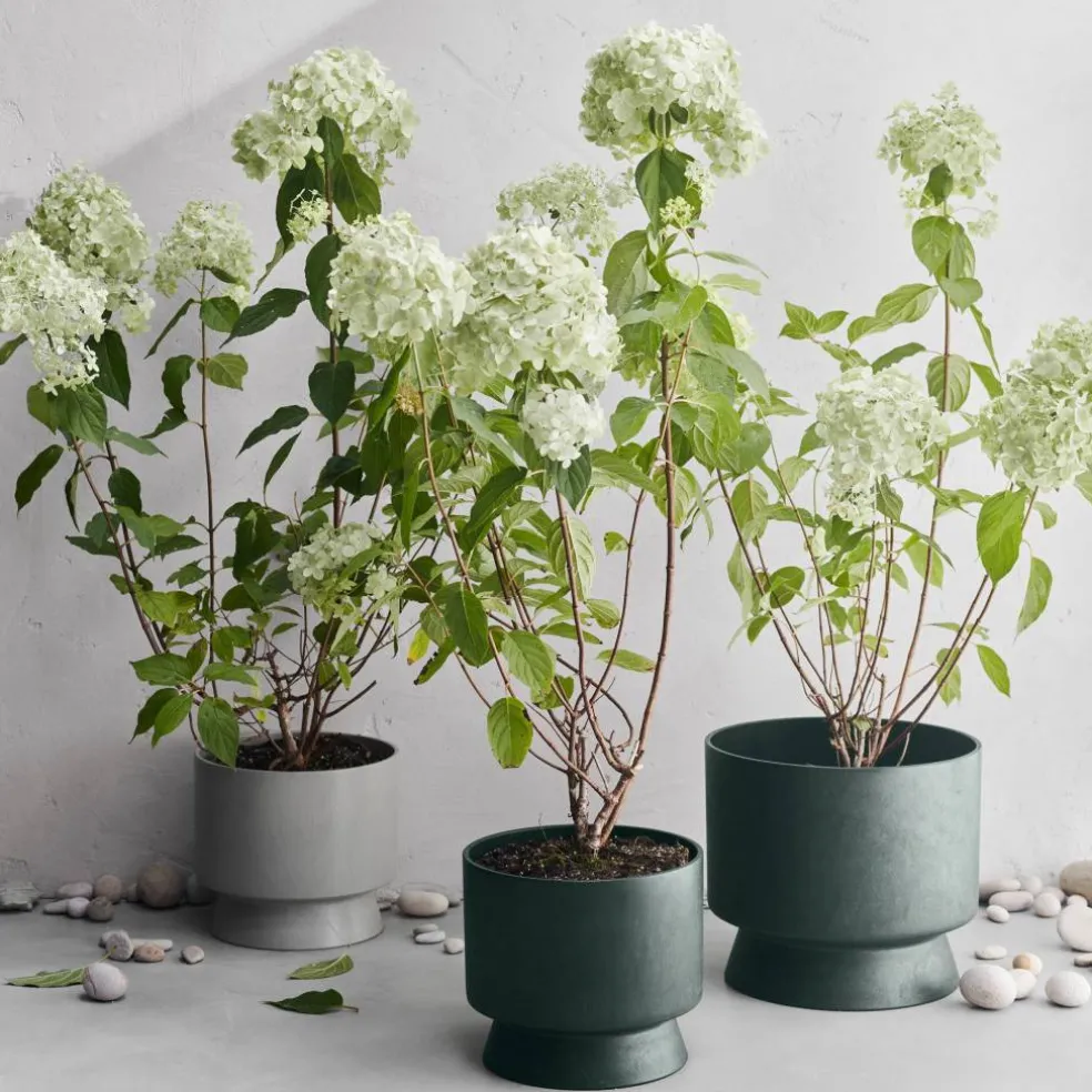 RO blomsterpotte, 24 cm, grønn